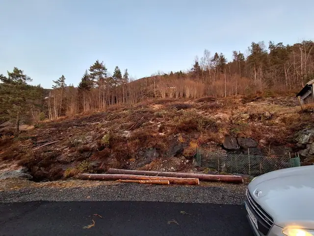 Tomten er blitt ryddet i nyere tid